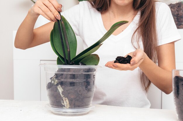 Meisje plant bloem in een transparante pot