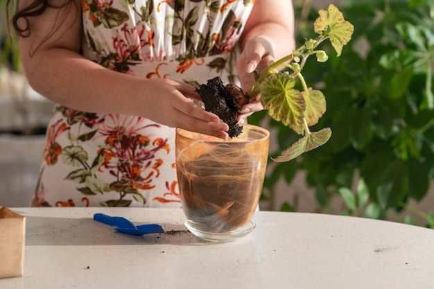 Foto meisje plant een bloem in een nieuwe pot