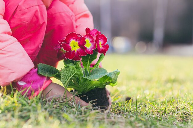 Meisje plant een lentebloem