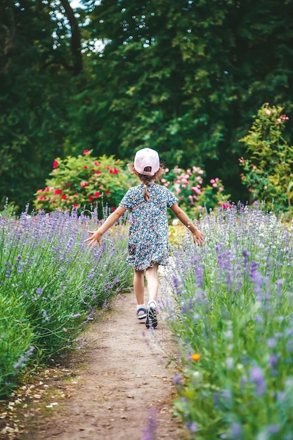 Meisje rent weg in de tuin tussen bloeiende lavendel