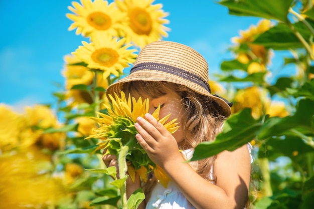 Meisje ruikt zonnebloem in het veld.