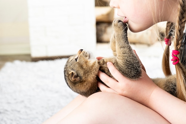 Meisje speelt met een Britse kitten op een tapijt in een appartement