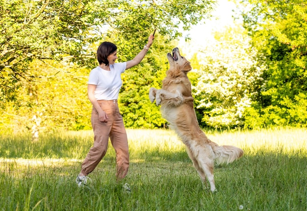 Foto meisje traint een golden retriever hond buiten