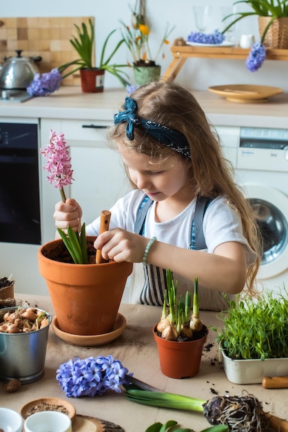 Meisje verplant bloemen en kamerplanten een kind in een bandana plant bollen hyacinten microgreens