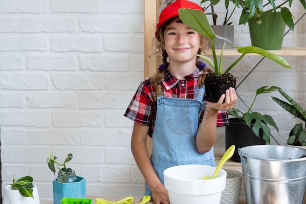 Meisje verplant een kamerplant philodendron in een nieuwe bodem met drainage