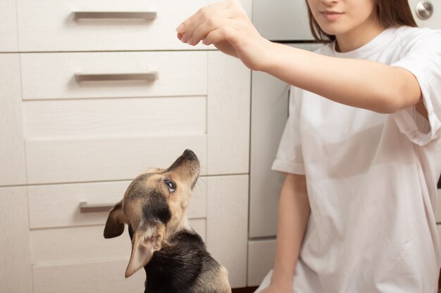 Meisje voedt een hond thuis in de keuken