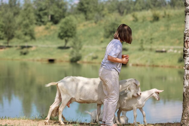 Meisje voedt en speelt met geiten op een boerderij