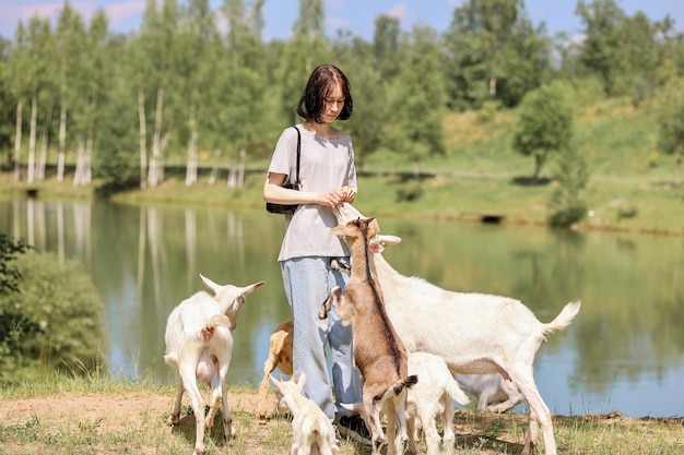 Meisje voedt en speelt met geiten op een boerderij