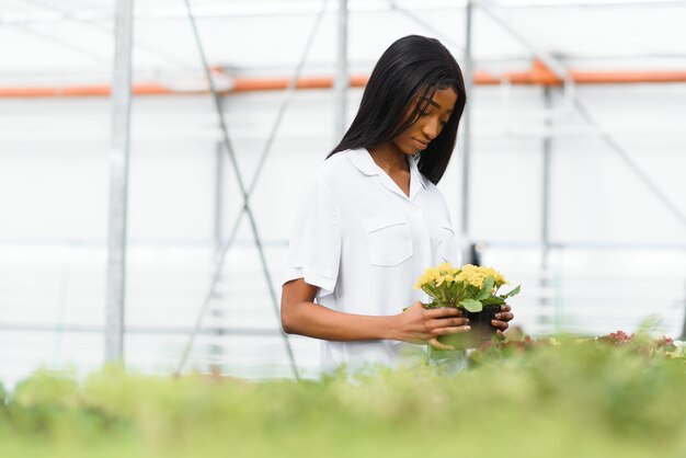 Meisje, werknemer met bloemen in kas