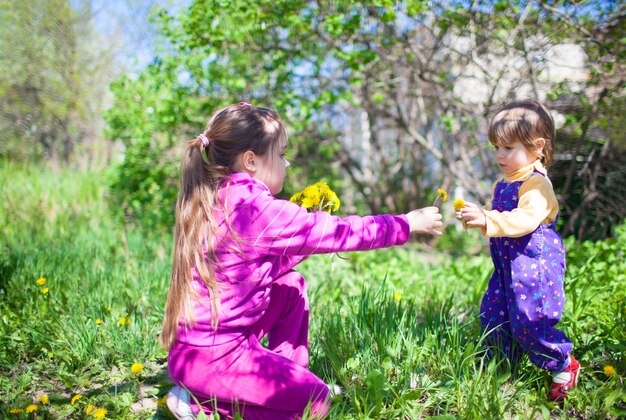 Meisje zittend op het gras en bloeiende gele paardebloembloemen geven aan kleine jongen in jumpsuit buiten op groene natuur op zonnige heldere zomerdag. Gelukkig jeugdconcept