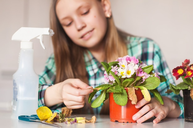 Meisje zorgt voor planten in haar huis