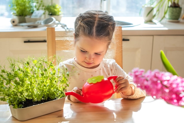 Meisje zorgt voor planten in potten Kind geeft de microgroenten water uit een gieter