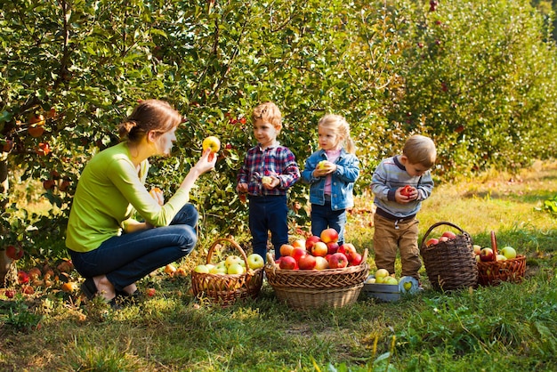 Meisjes en jongens met leraren die appels van de boom plukken in de biologische tuin, natuurles en excursie, biologie en eten leren