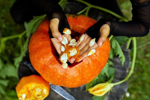 Meisjeshanden die zaden en vezelig materiaal uit een pompoen trekken voordat ze voor Halloween gaan snijden