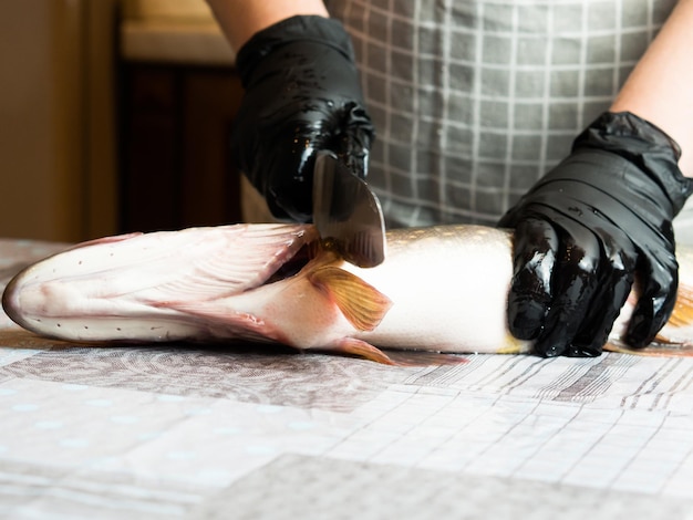 Meisjeskok snijdt snoek op de keukentafel