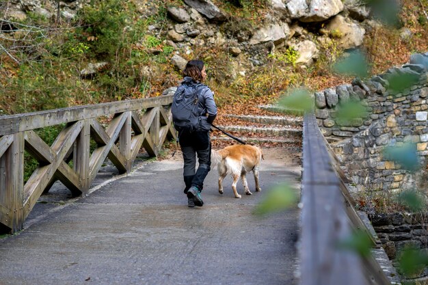 Meisjeswandelaar wandelt in de bergen met haar hond