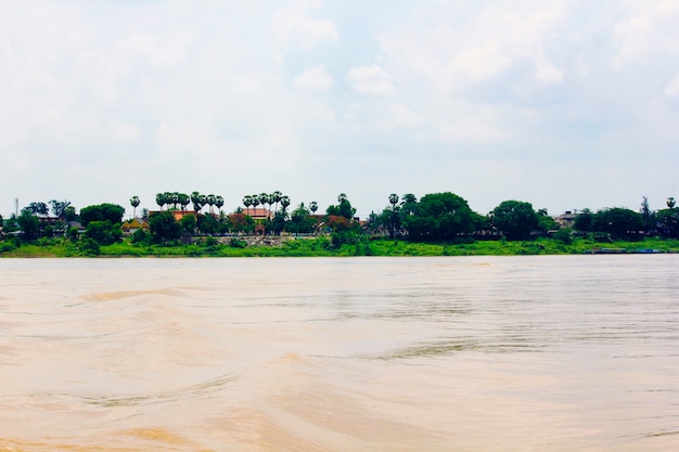 Mekong rivier, tempels en bomen