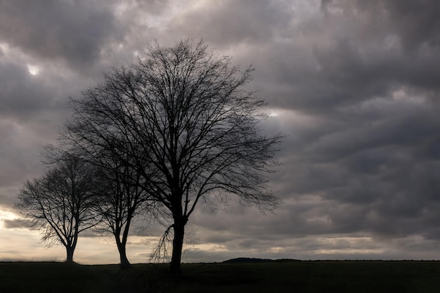 Photo melancholy landscape of early spring