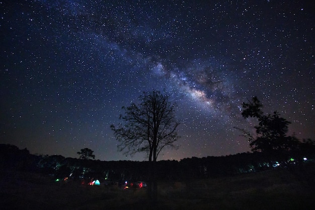 Melkweg en silhouet van boom in Phu Hin Rong Kla National Park Phitsanulok Thailand Lange belichtingsfoto met graan