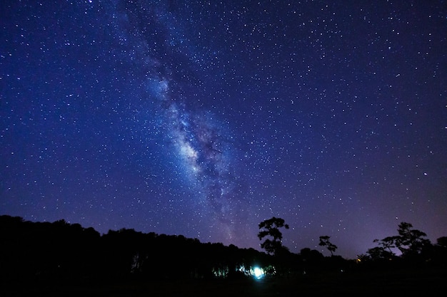 Melkweg en silhouet van boom in phu hin rong kla national park phitsanulok thailand lange belichtingsfoto met graan