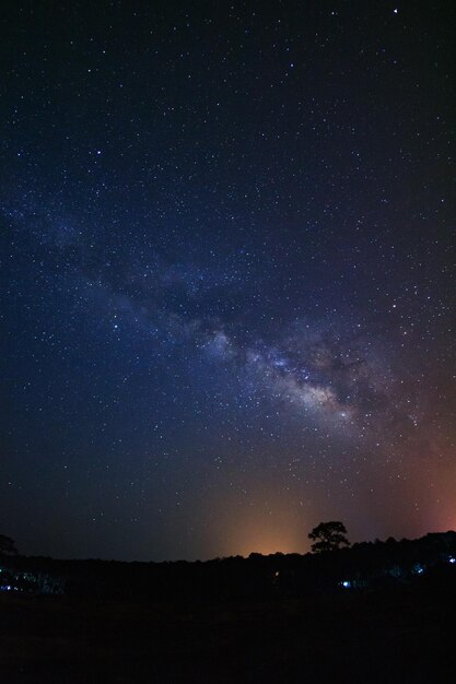 Melkwegstelsel en silhouet van boom met wolk in Phu Hin Rong Kla National Park