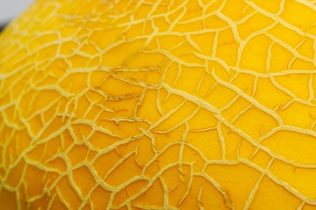 Melon background closeup macro texture