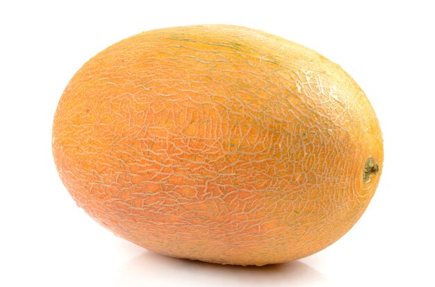 Melon close up detail isolated