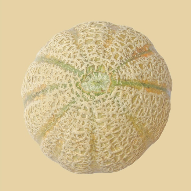 Foto frutto di melone