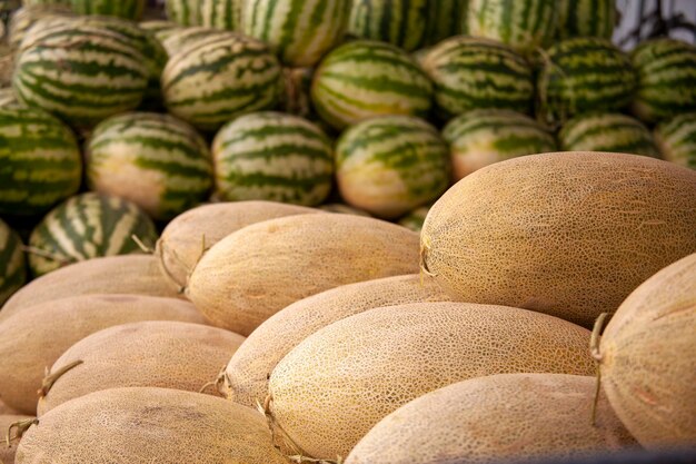 Melon in the market for sale