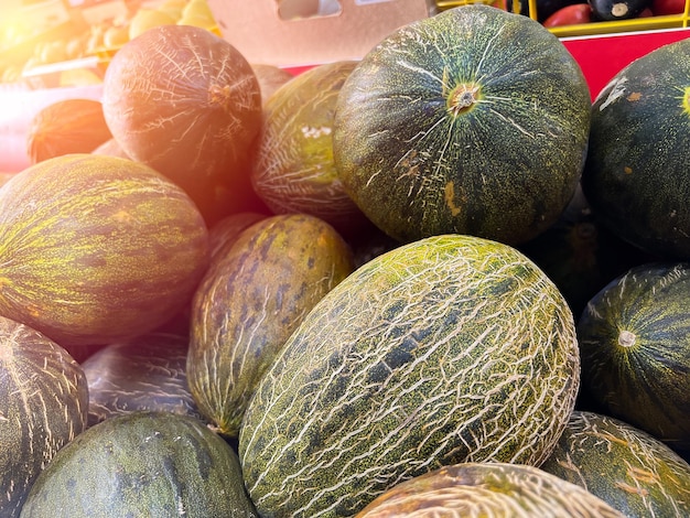 Melon piel de sapo in the fruit shop close up