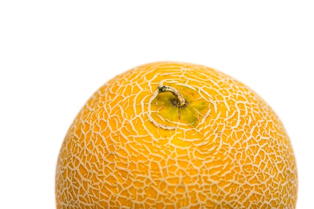 Melon on white background