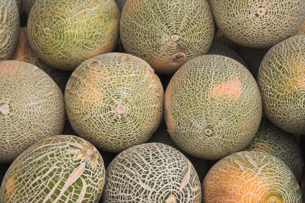 Melons close up food background