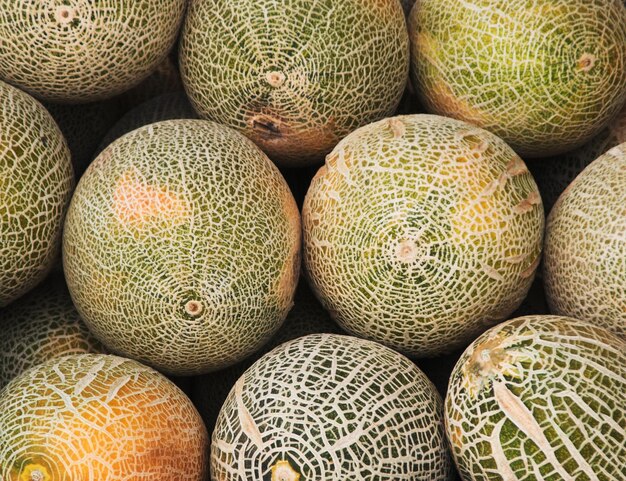 Melons in market close up food background