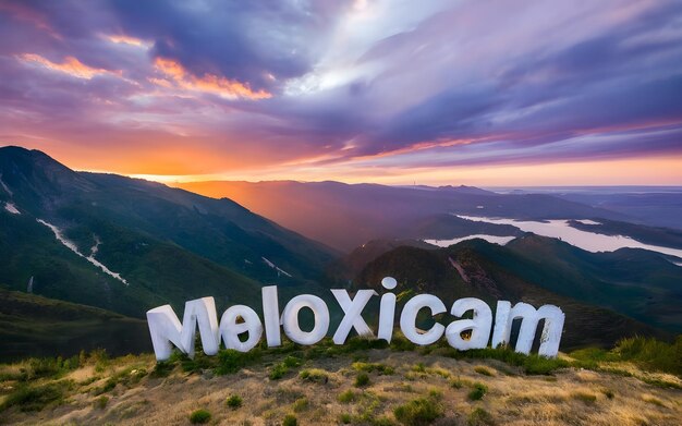 Meloxicam