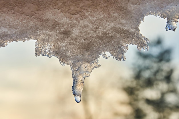 Melted snow is dripping from the roof