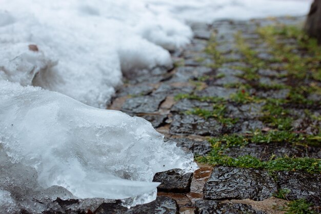 Melted snow on paving stones covered with moss