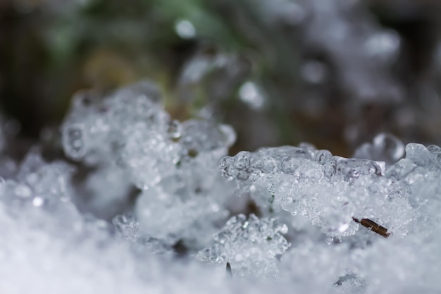 野生の森の芝生の上の雪と氷の融解 自然の季節の変化