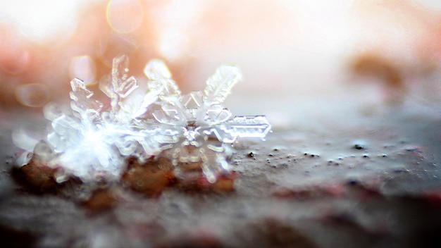 写真 鉄の上で雪花を溶かす