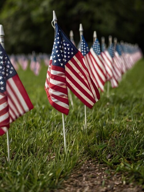 Memorial Day background image