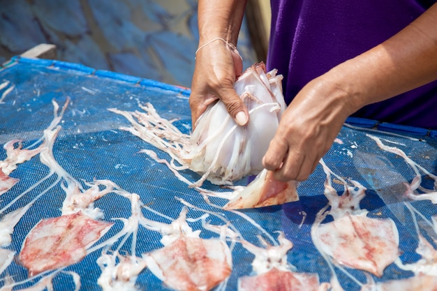 Foto gli uomini stanno raccogliendo calamari essiccati al sole.