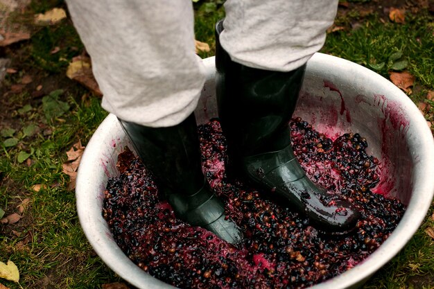 Men crushing ripe grapes by fit in boots.