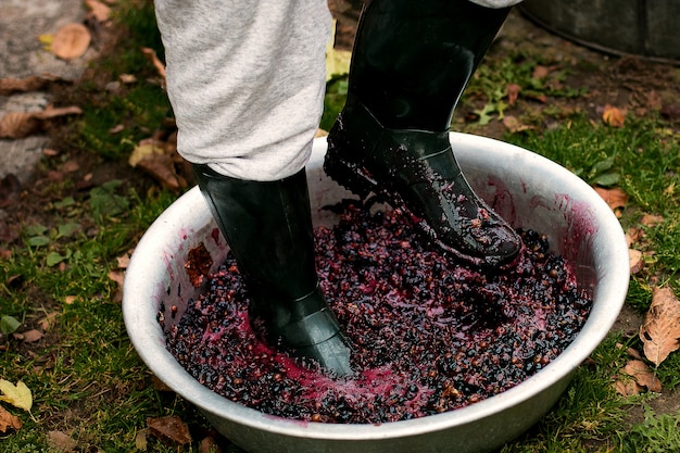 Men crushing ripe grapes by fit in boots.