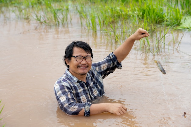 Men farmer catch fish in flood water in rice paddy field