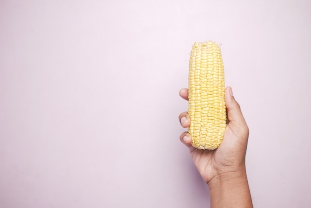 Men holding a corn cob on white background