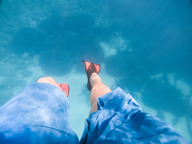 Men legs in flippers underwater