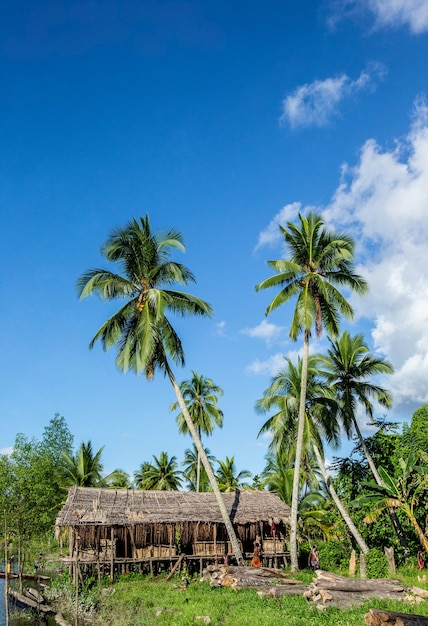 Men's house in the traditional village of Asmat tribe on the river.