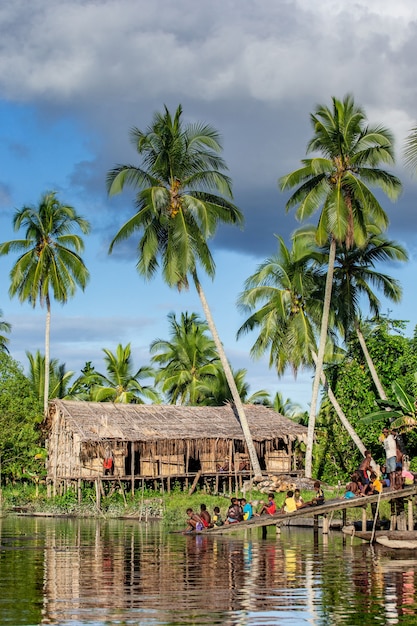 Men's house in the traditional village of Asmat tribe on the river.