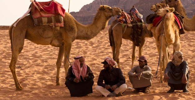 Photo men sitting by camels at desert