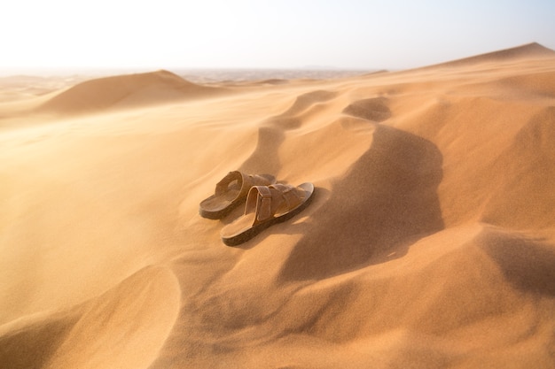 Фото Мужские летние туфли принесли на песке в пустыню