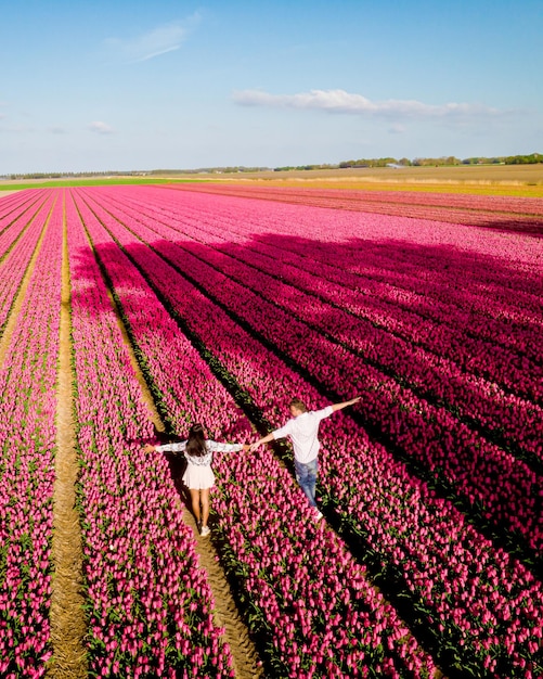 Photo men and women in flower field seen from above with drone in the netherlands tulip fields
